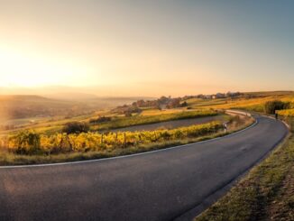 routes de vins